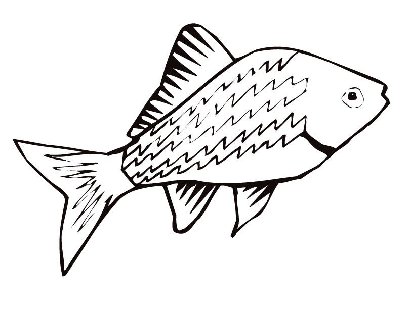 rainbow fish coloring page : Printable Coloring Sheet ~ Anbu