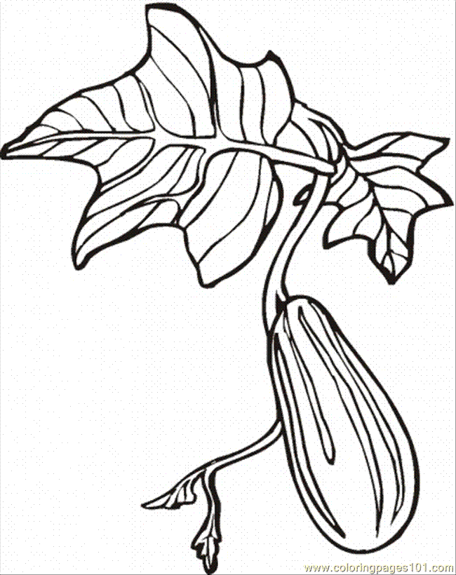 Coloring Pages Cucumber 4 (Natural World > Vegetables) - free
