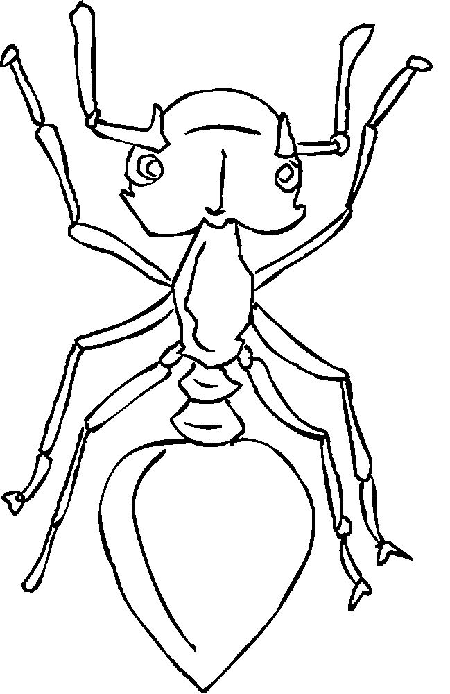 pm ant Colouring Pages