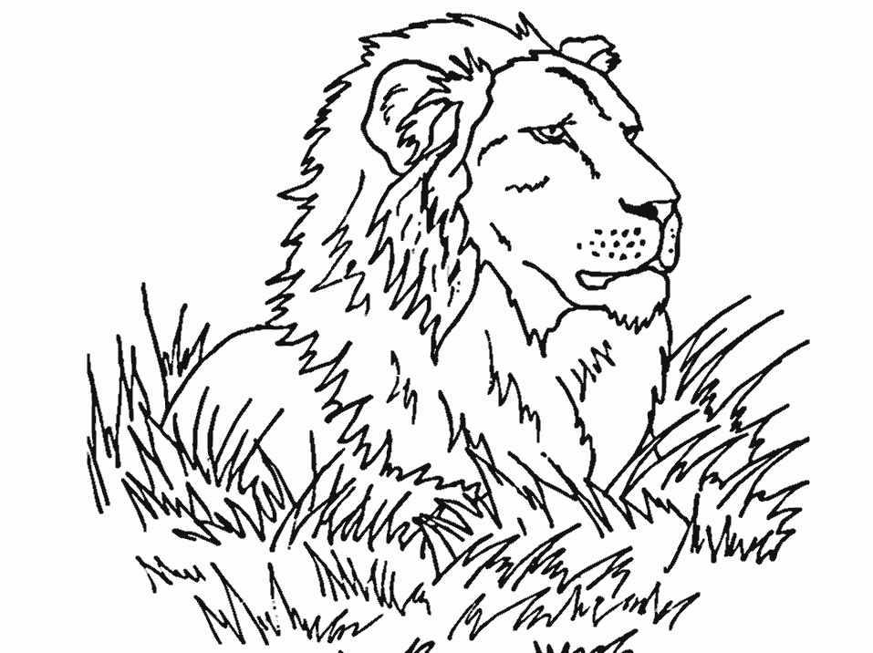 Coloring Pages Of The Lion King Free Printable Coloring Pages 2014