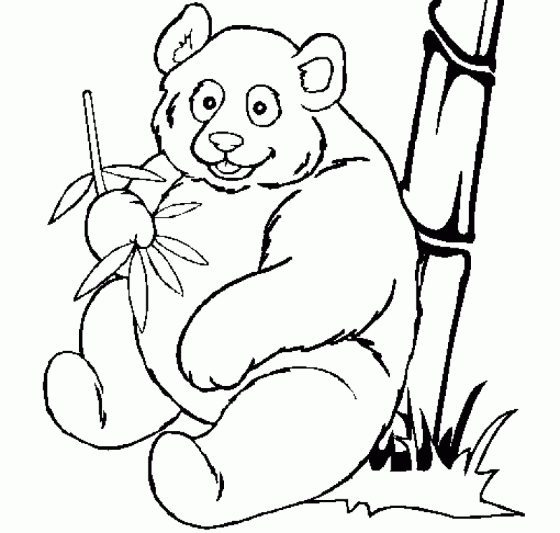 Big Panda Coloring Pages Free To Print - Kids Colouring Pages