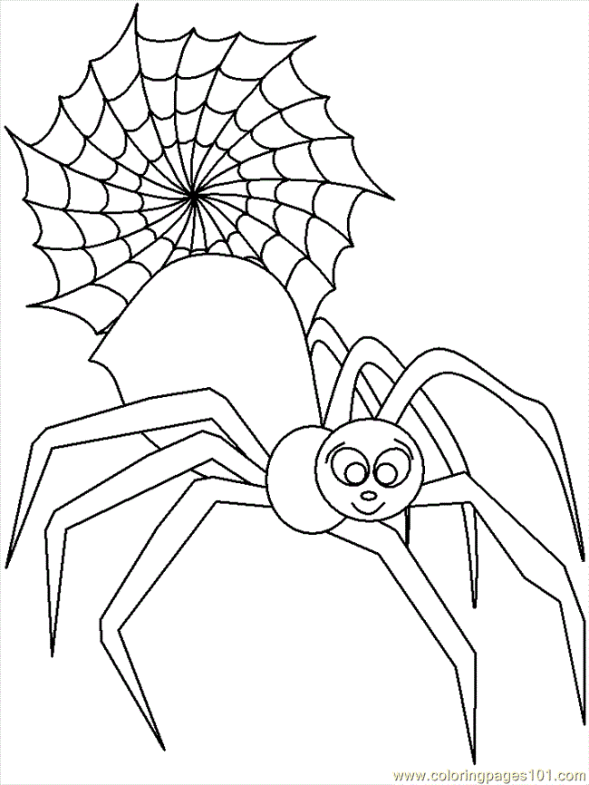 Coloring Pages Spider Coloring 8 (Animals > Others) - free