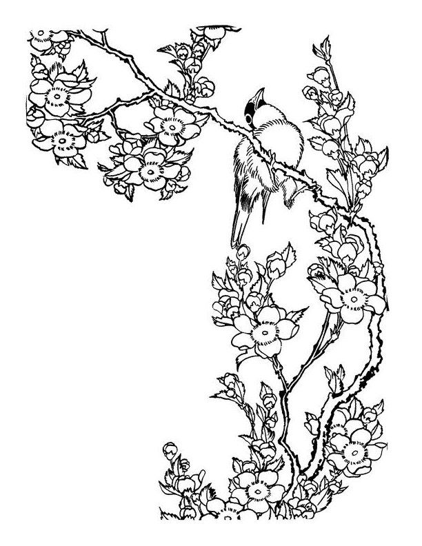 Japanese Coloring Pages
