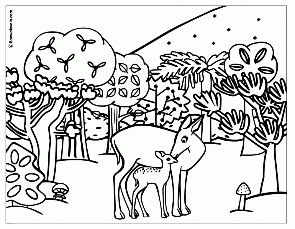 Coloring Page | Coloring Pages | Page 51