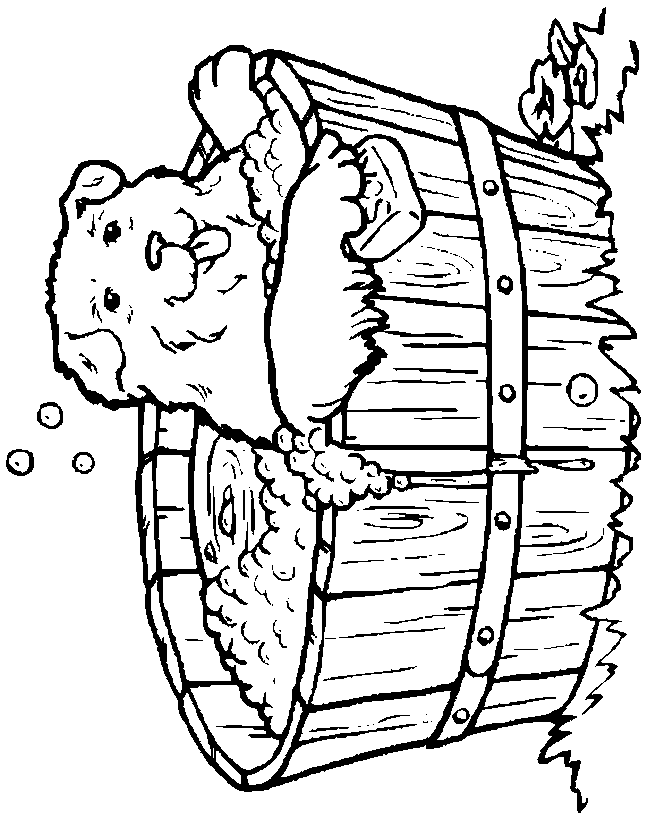 Coroling Pictures Of Pirate Cat | Animal Coloring Pages