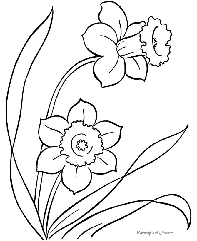 Flower Coloring Sheets | 36 Pins