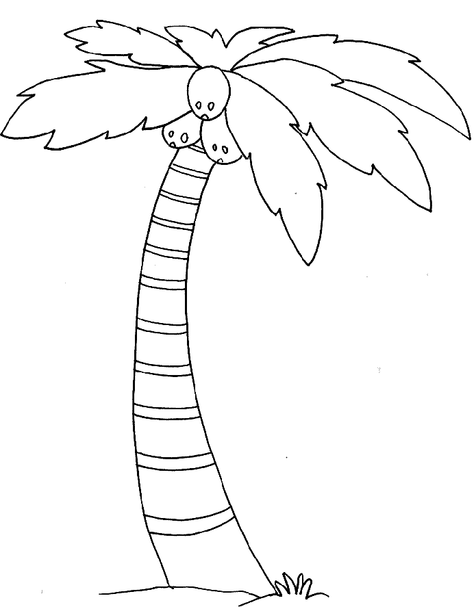 desert palm tree Colouring Pages