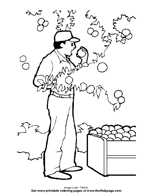 Apple Picking - Free Coloring Pages for Kids - Printable Colouring