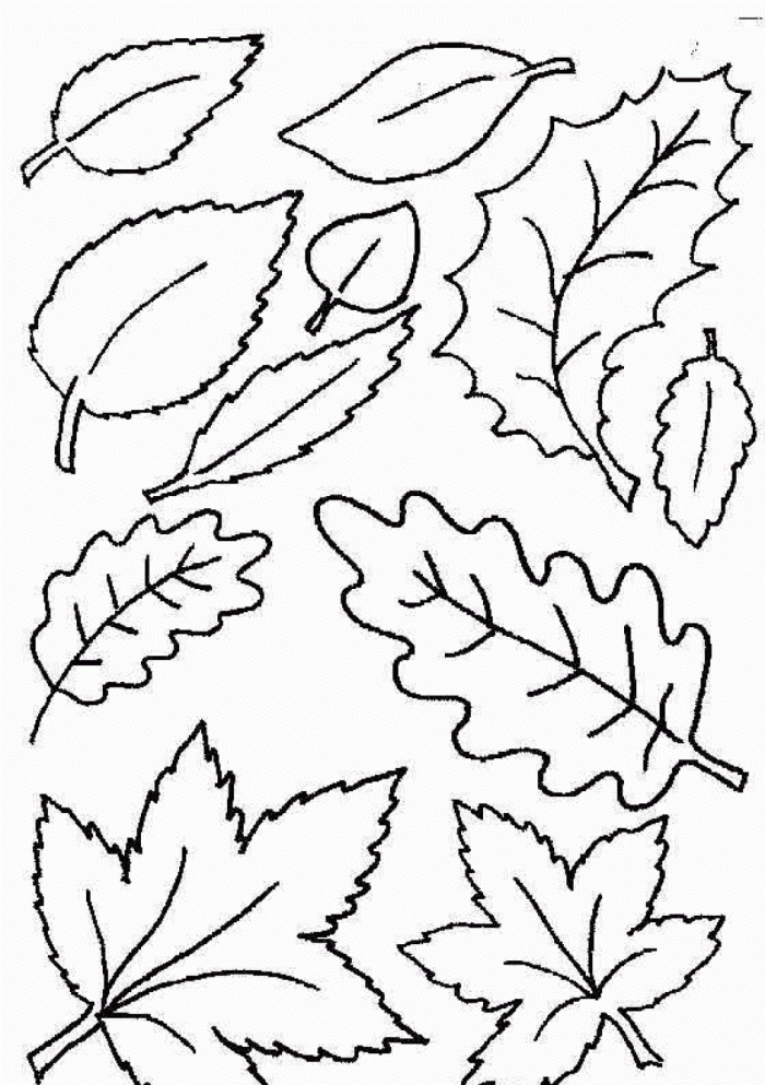 Autumn Leaves Coloring Page | 99coloring.com