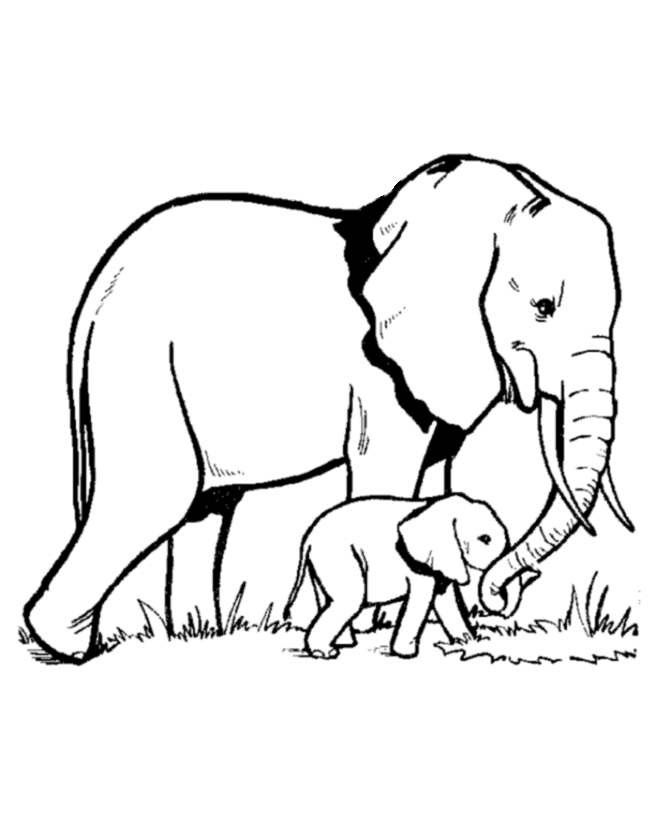 Coloring Pages Of Elephants - Free Printable Coloring Pages | Free