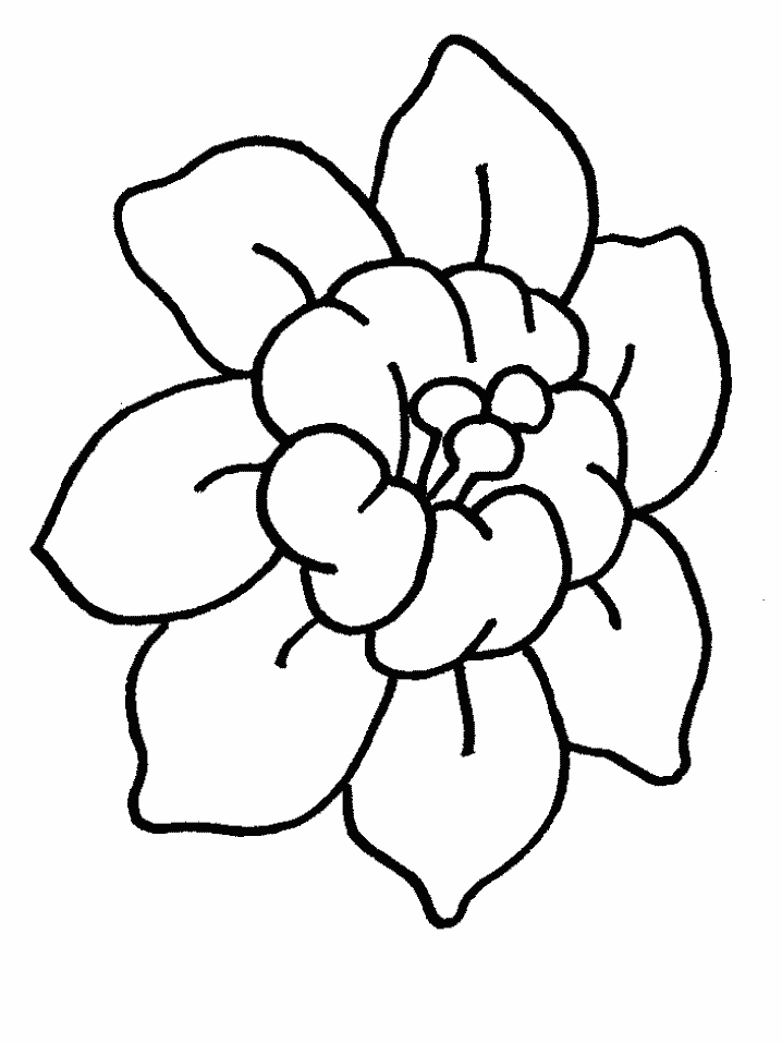 Flowers Coloring Pages For Kids | Flowers Coloring Pages | Kids