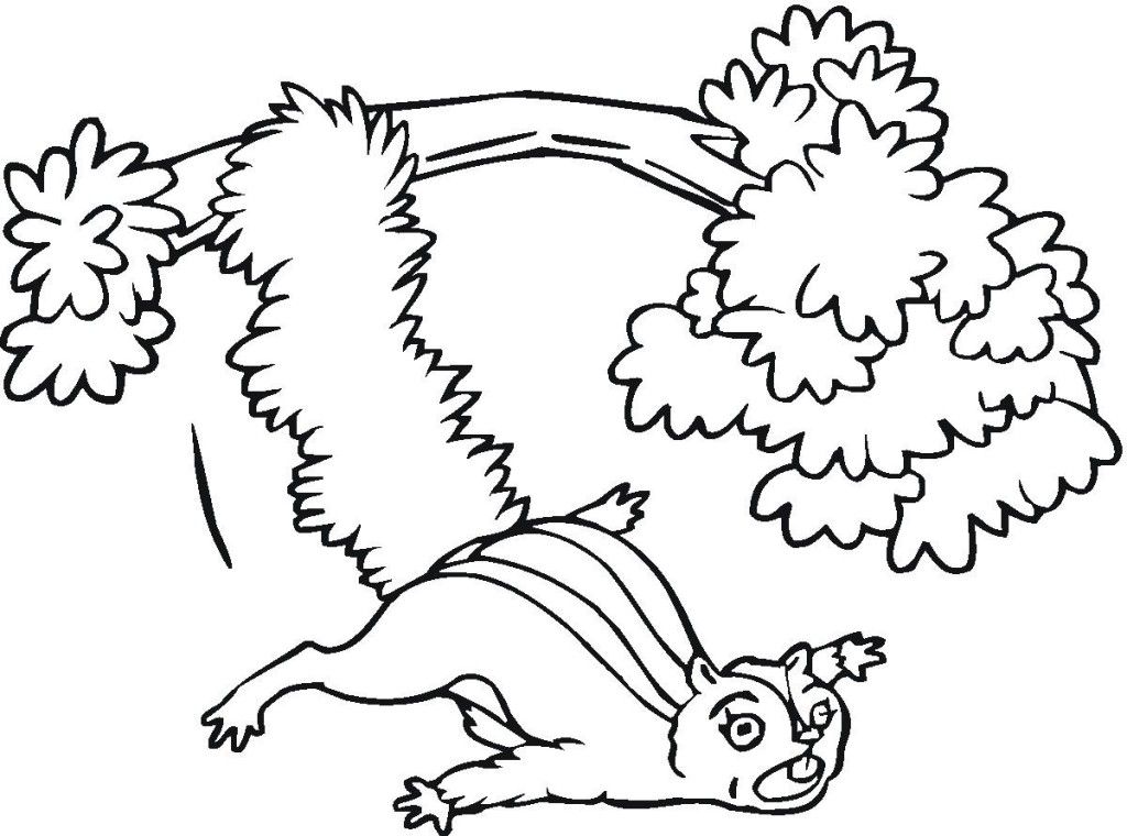 Downloadable Flying Squirrel From The Tree Coloring Page Best