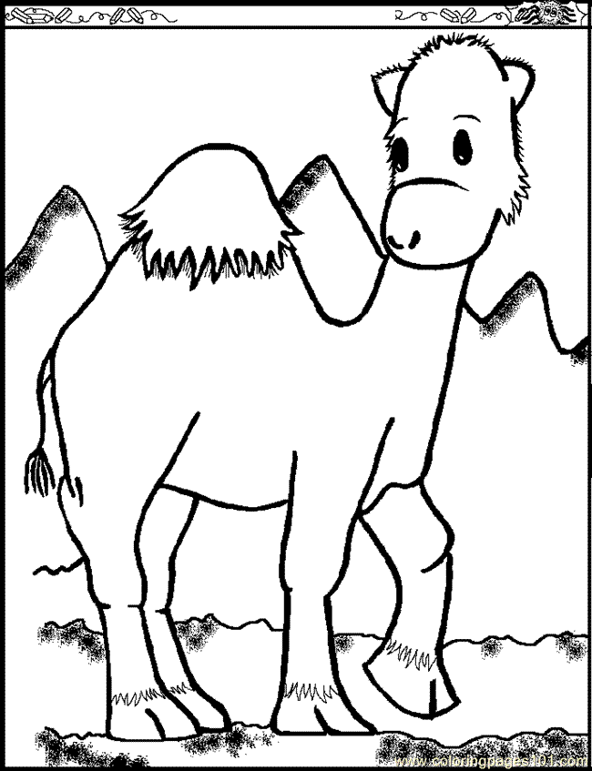 Coloring Pages Camel110 (Mammals > Camel) - free printable