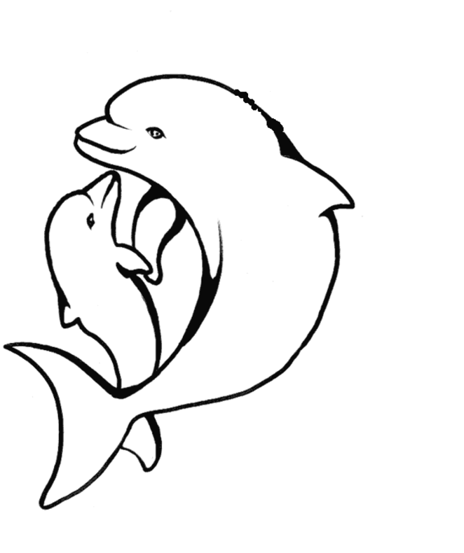 Dolphin Coloring Pages - Kids Colouring Pages