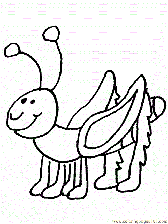 Coloring Pages Grasshopper (Animals > Insects) - free printable
