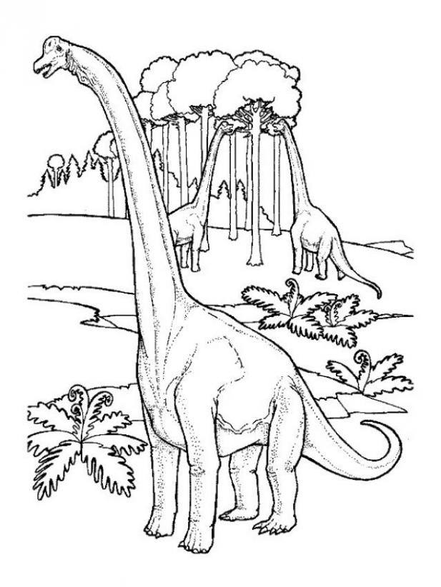 Brachiosaurus, Brontosaurus und Diplodocus zum Ausmalen