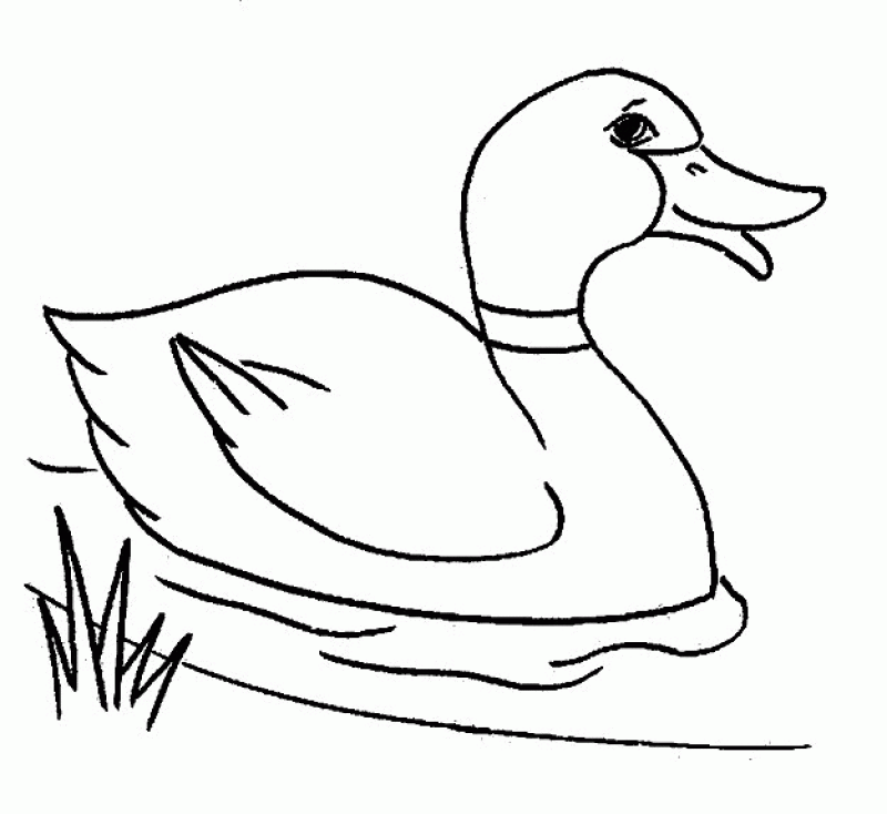 Picture Of Ducks To Color - HD Printable Coloring Pages
