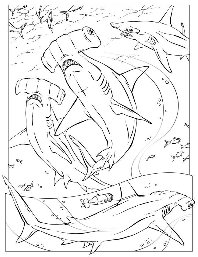 Coloring pages sharks - picture 10