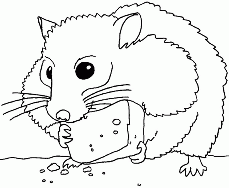 Hamster Pictures To Color - HD Printable Coloring Pages