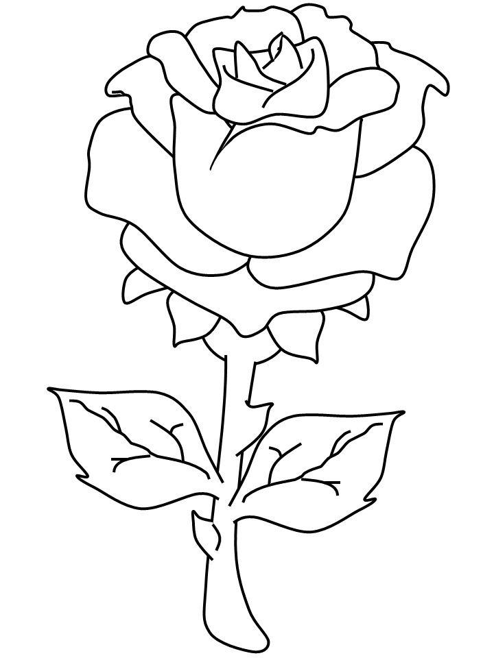 Rose Valentines Coloring Pages & Coloring Book