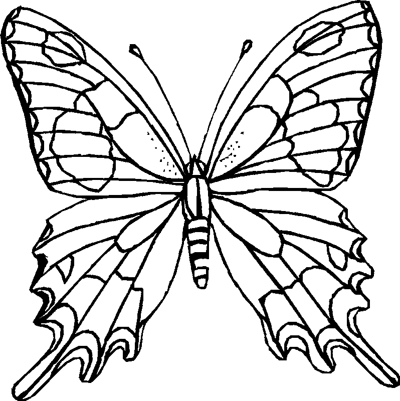 Butterfly Coloring Printables for Kids