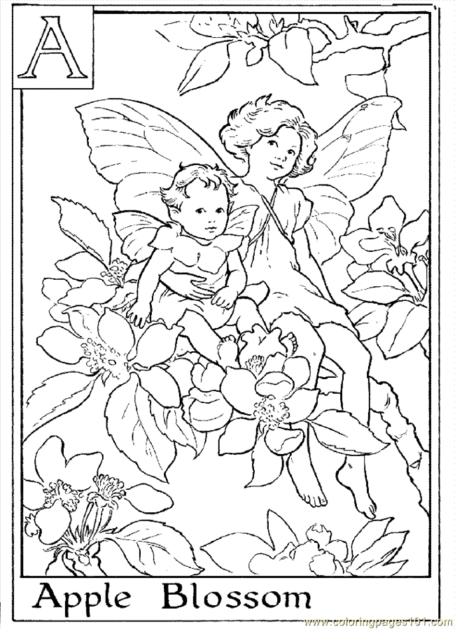 vegetable garden coloring pages pictures imagixs