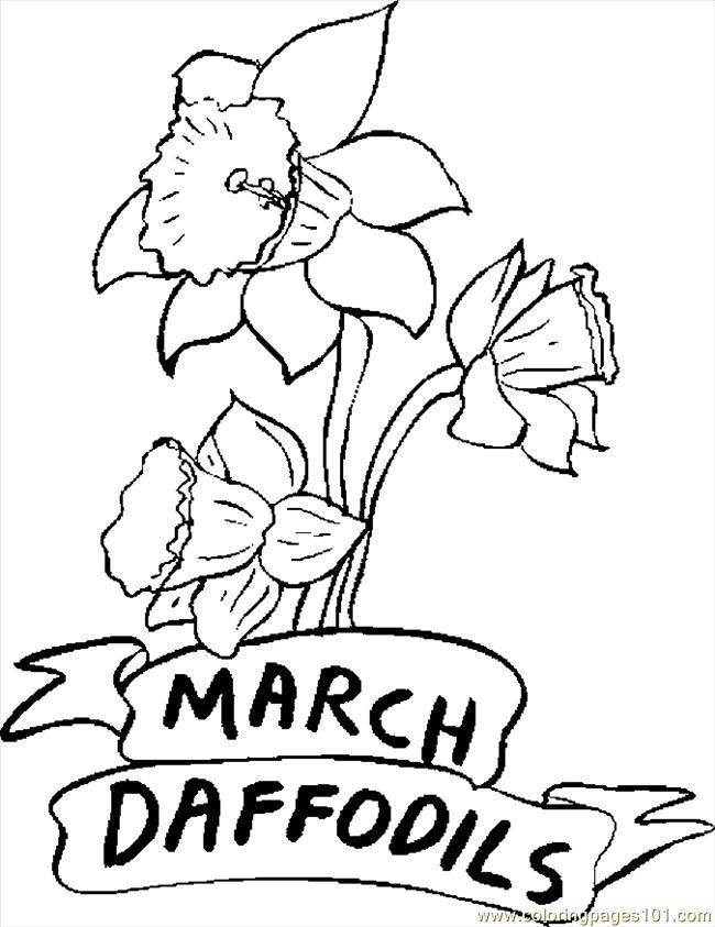 Coloring Pages 03 March Daffodils (Natural World > Flowers) - free