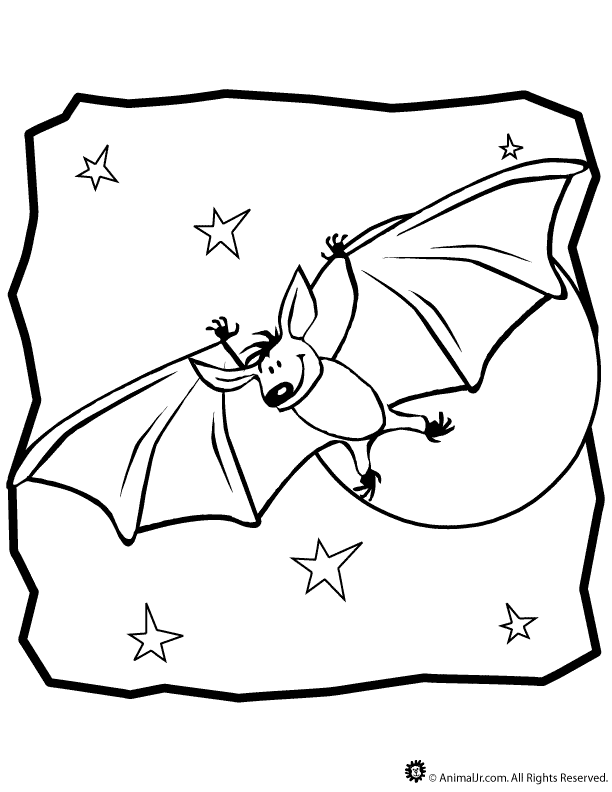 Bats Coloring Pages Cake Ideas and Designs