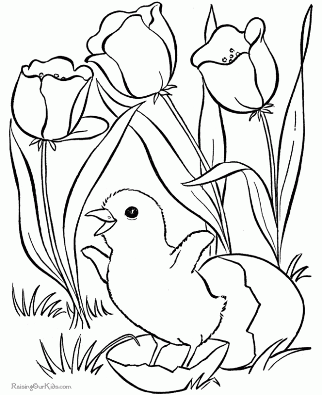 free coloring pages for kids | Coloring Pages