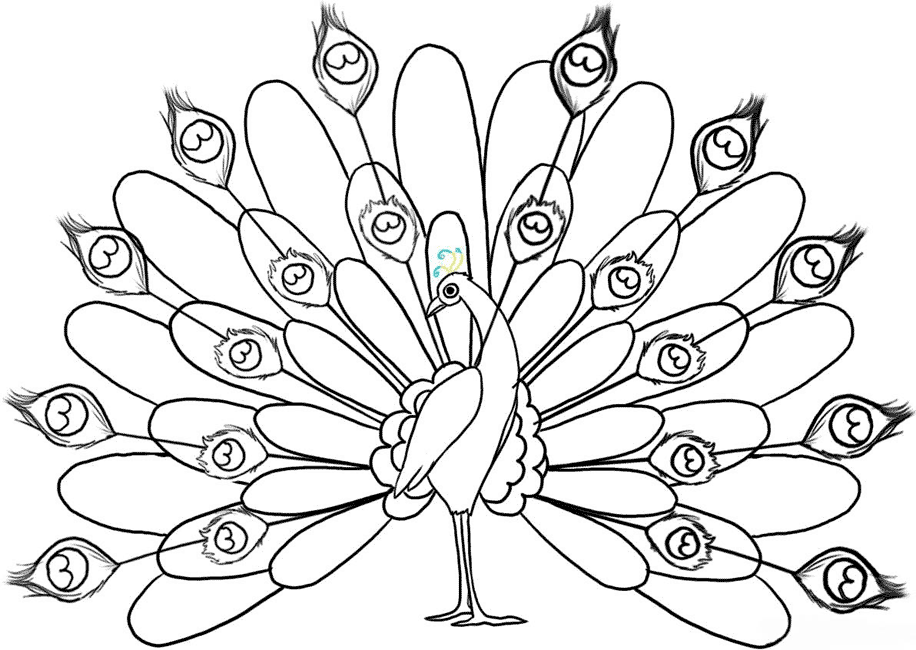 Colour Drawing Free Wallpaper: Peacock Coloring Drawing Free wallpaper