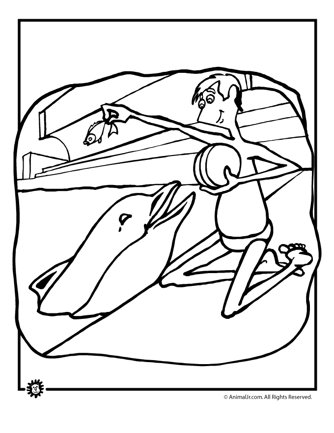 Cartoon Picture Of A Dolphin