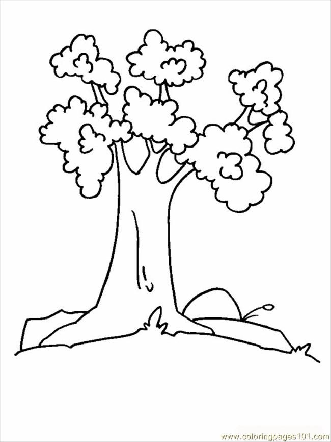 Coconut Tree Coloring Pages | Tree Coloring Pages | Printable Free