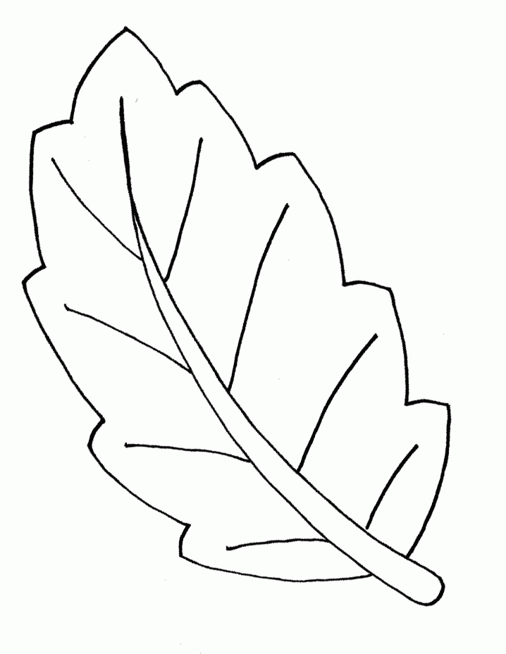 leaves shapes Colouring Pages