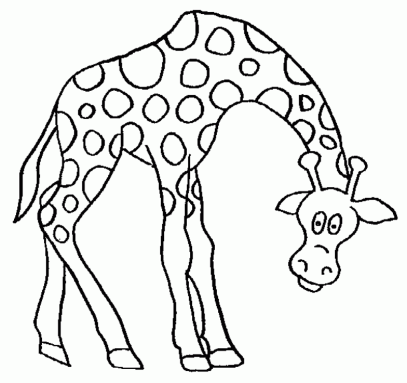 Giraffe coloring page | Download printable coloring pages