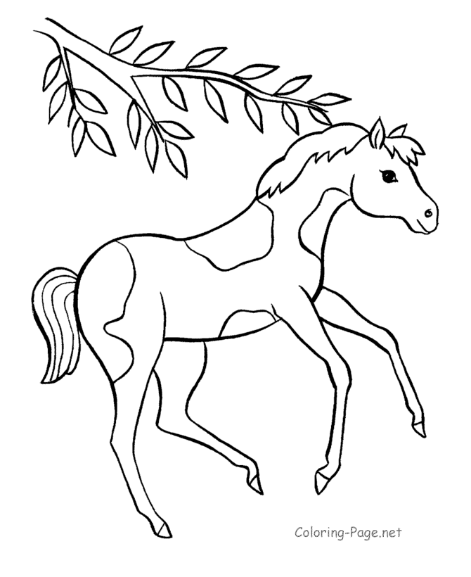 Horse Coloring Page - Pinto pony