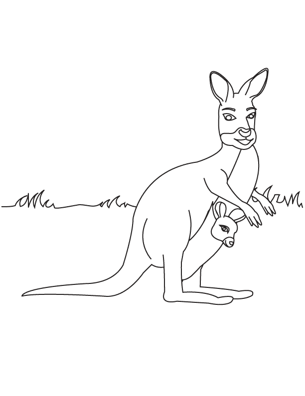 Coloring Pages - Kangaroo