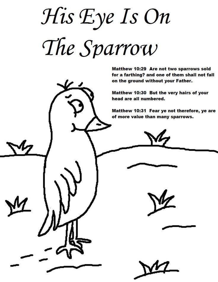 Sparrow Bible Verse coloring page | bible verses