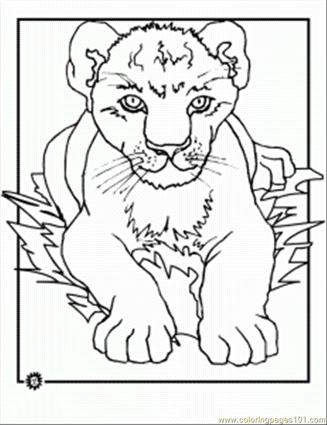 Coloring Pages Lion Cub Coloring Page (Cartoons > The Lion King