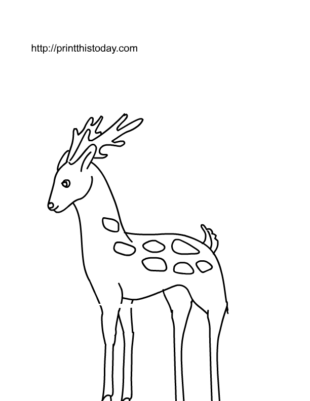 Free Printable Wild animals Coloring Pages (2) | Print This Today