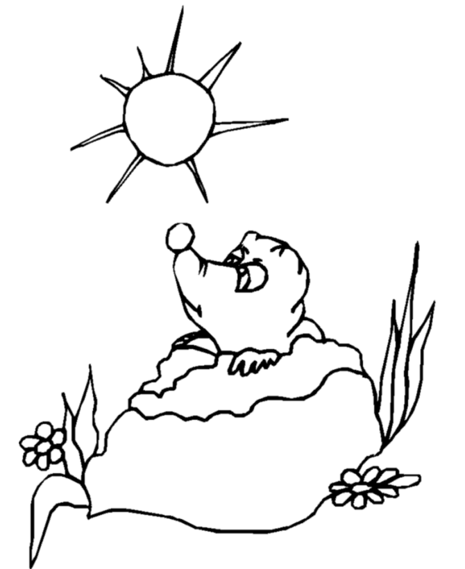 BlueBonkers - Groundhog Day Coloring Page Sheets - Groundhog
