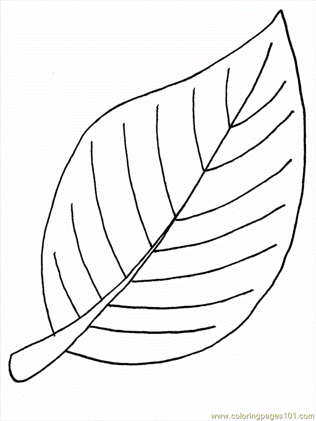 Leaf Colouring Pages Cake Ideas and Designs
