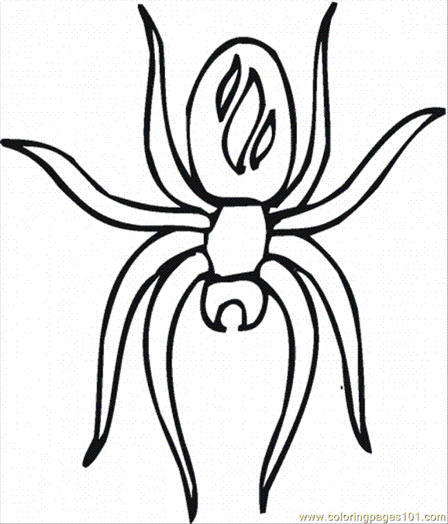 Coloring Pages Spider 8 (Animals > Arachnids) - free printable