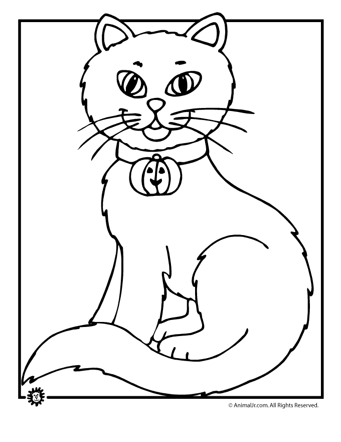 Coloring Page Halloween Cat