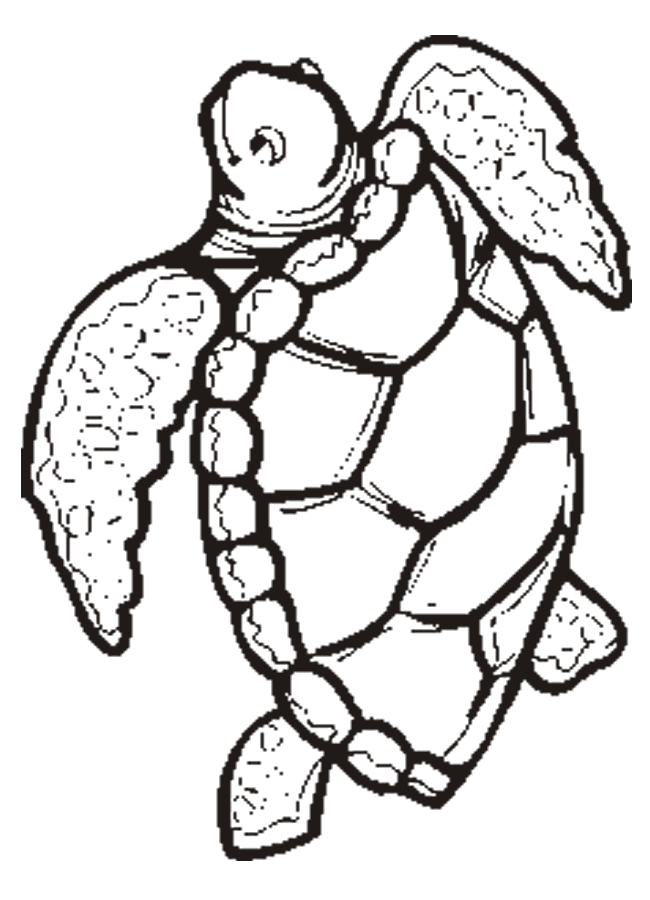 free Turtle coloring pages for kids | Coloring Pages