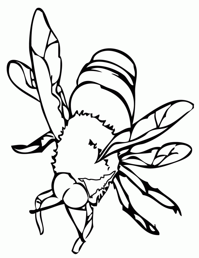 Honey Bee Coloring Page Coloring Pages Hello Kitty Coloring 270849