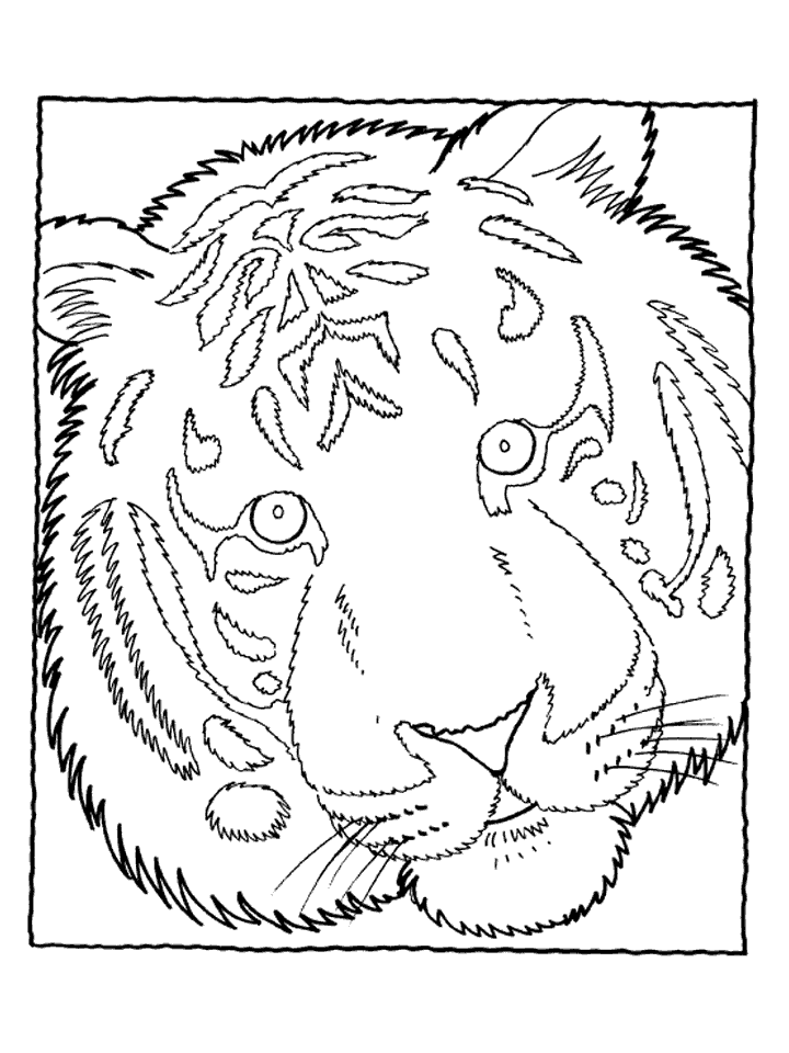 Doll House Elora Tiger picture to Color