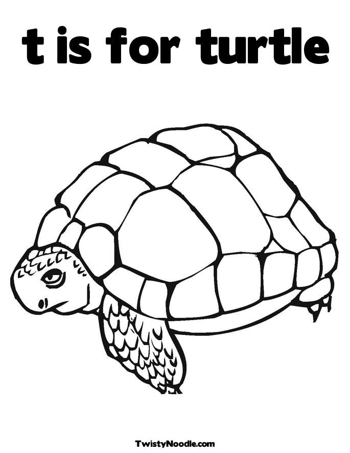 Related Pictures Turtle Coloring Page For Toddlers Lowrider Car
