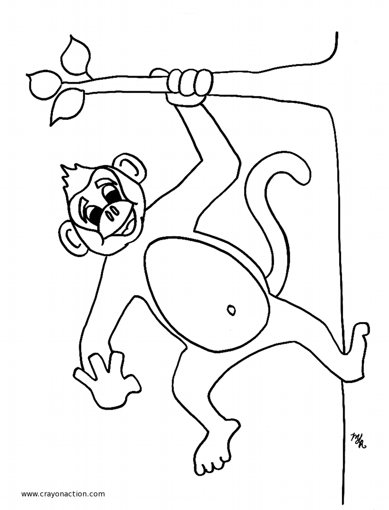 Monkey Coloring Page | Crayon Action Coloring Pages