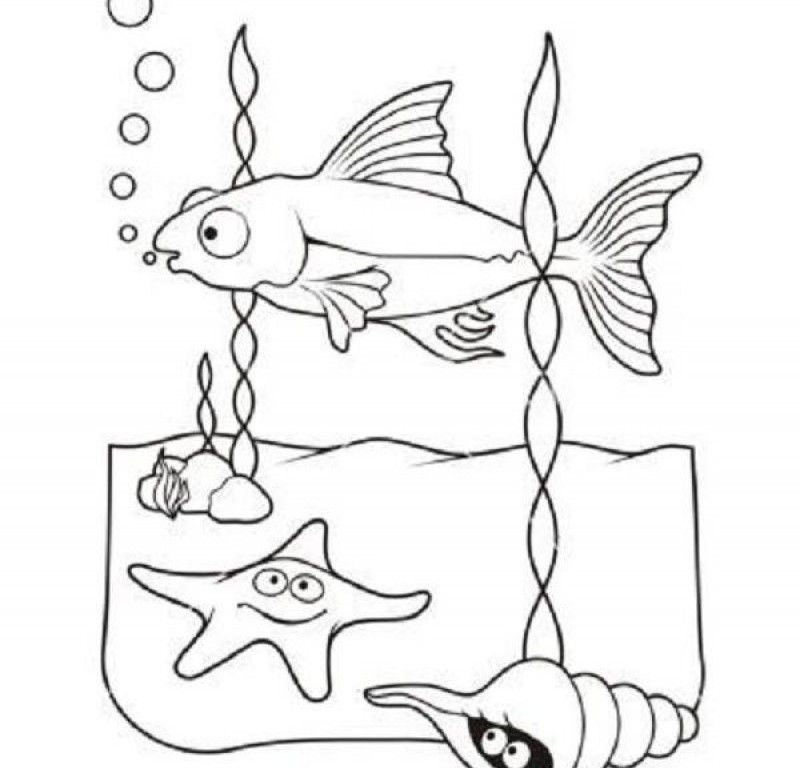 Sea Life Coloring Pages - HD Printable Coloring Pages