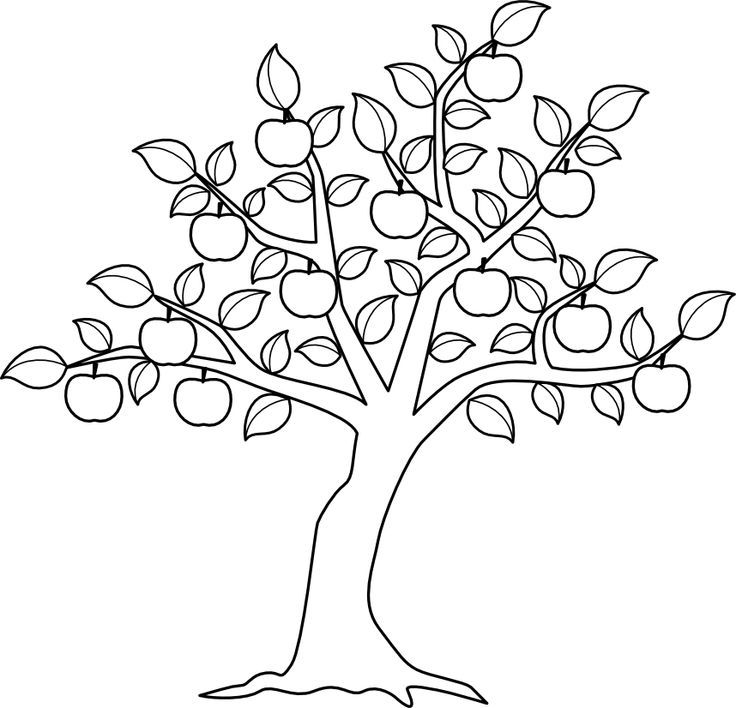 Apple Tree. | Coloring pages- Yepper